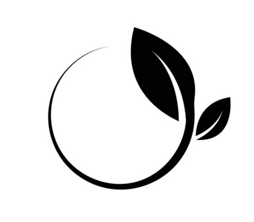 Plpfitness